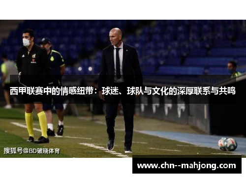 西甲联赛中的情感纽带：球迷、球队与文化的深厚联系与共鸣