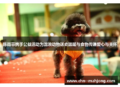 陈雨菲携手公益活动为流浪动物送去温暖与食物传递爱心与关怀