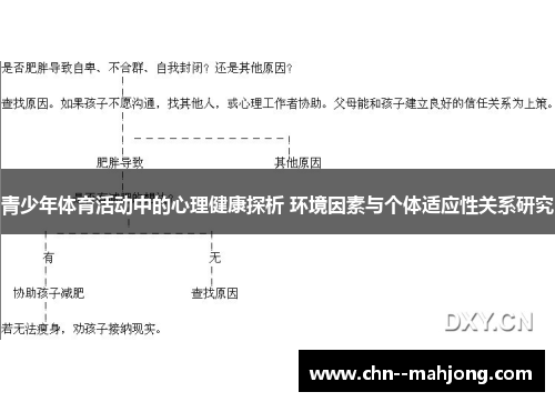 青少年体育活动中的心理健康探析 环境因素与个体适应性关系研究