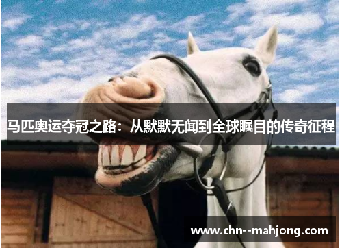 马匹奥运夺冠之路:从默默无闻到全球瞩目的传奇征程 马匹奥运夺冠之路:从默默无闻到全球瞩目的传奇征程
